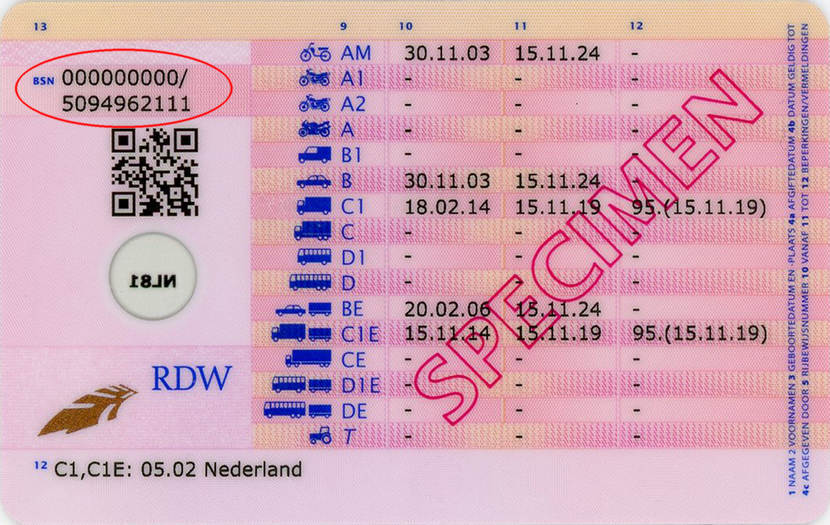 Bezwaar Blind Verscheidenheid Waar vind ik mijn burgerservicenummer op een Nederlands rijbewijs? |  Nederland Wereldwijd